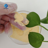 N-tert-butyl-2-benzothiazolesulfenamide CAS 95-31-8
